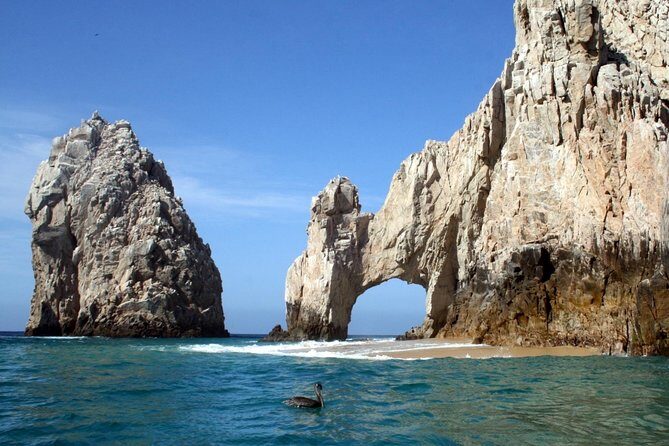 Cabo Encounter with Optional Clear Boat and Lunch - A Full Breakdown of the Tour
