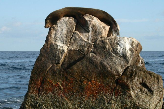 Cabo Encounter with Optional Clear Boat and Lunch - Final Thoughts