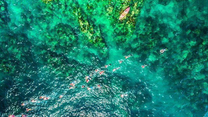 Cabo Escape Breakfast Snorkel Cruise - Authentic Guest Feedback