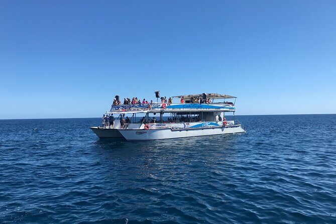 Cabo Escape Snorkel Fun Cruise - Who Should Consider This Tour?
