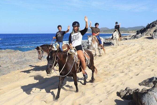Cabo Horseback Riding on Migriño Beach - Why This Tour Can Be a Win for You