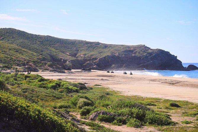 Cabo Migrino Beach & Desert Tour (Quad UTV) - What to Expect from the Cabo Migrino Beach & Desert Tour