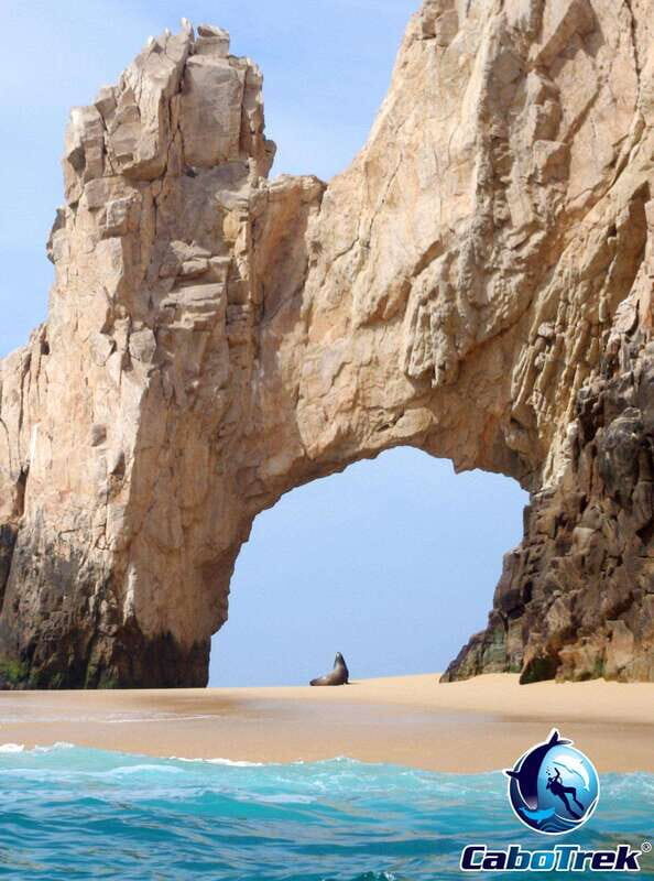 Cabo Ocean SAFARI - What This Tour Means for the Traveler