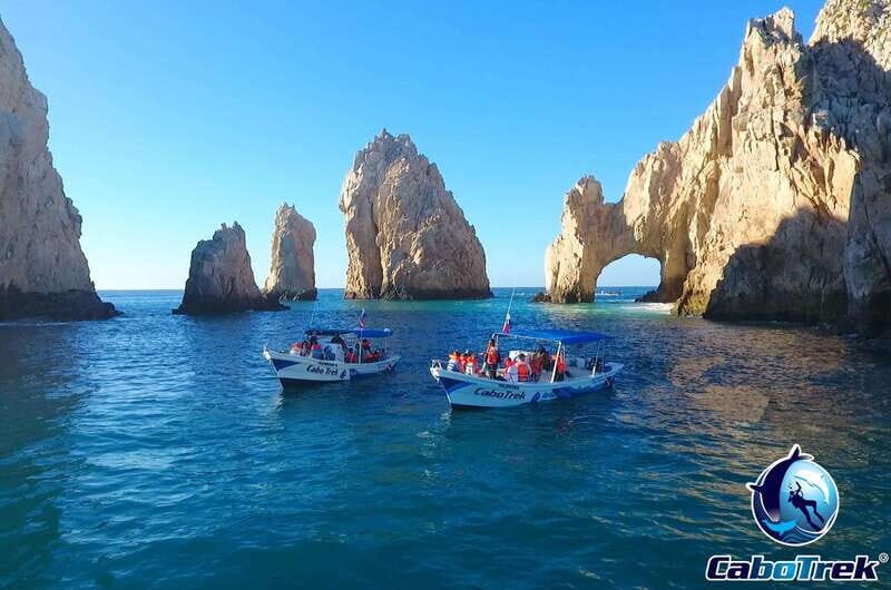 Cabo Ocean SAFARI - Practical Tips for Your Tour