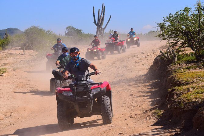Cabo Original Real Baja 1000 Tour (Single ATV) - Who Is This Tour Best For?