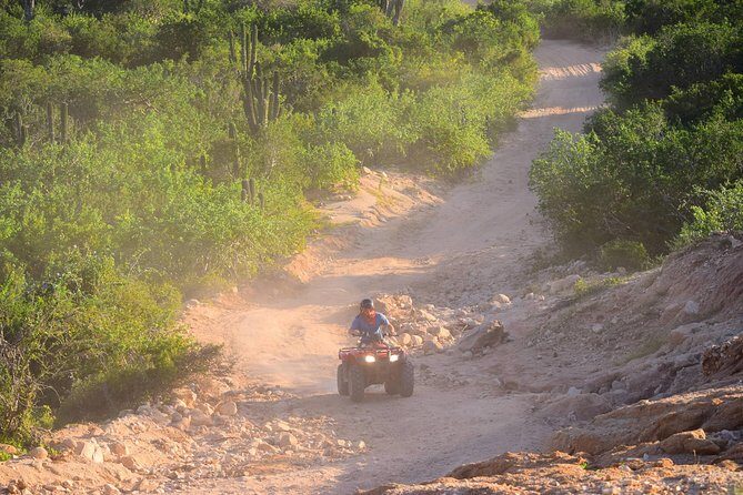 Cabo Original Real Baja 1000 Tour (Single ATV) - Who Should Consider This Tour