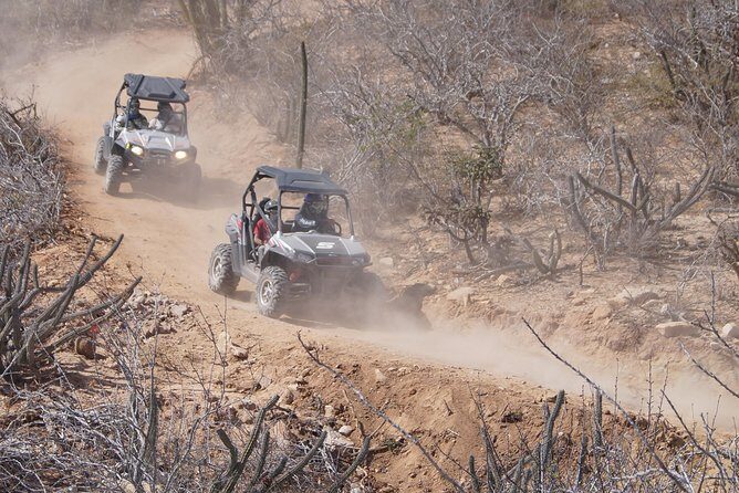Cabo Original Real Baja 1000 Tour (Triple UTV) - Final Thoughts: Is This Tour for You?