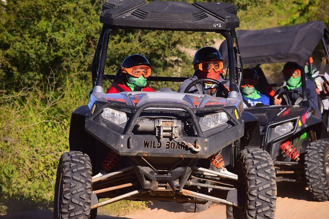 Cabo Original Real Baja 1000 Tour (UTV) - Pricing and Value