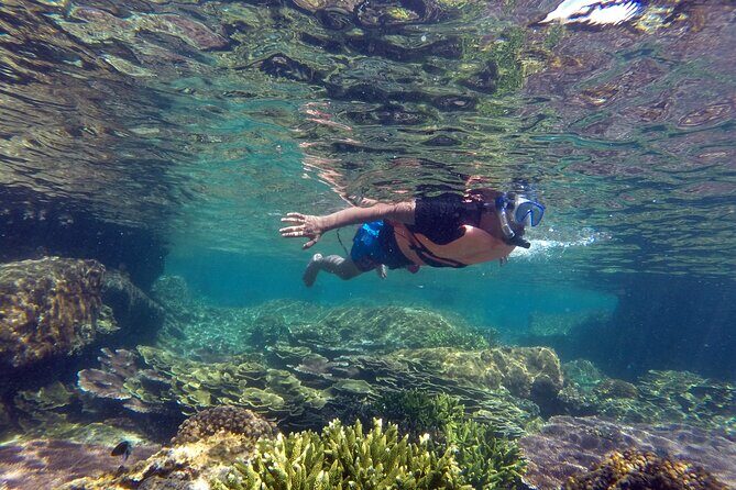 Cabo Pulmo Snorkel Adventure - Who Will Love This Tour?