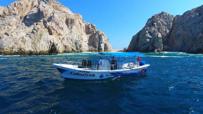 Cabo San Lucas: 2.5-Hour Whale Watching Tour - FAQ