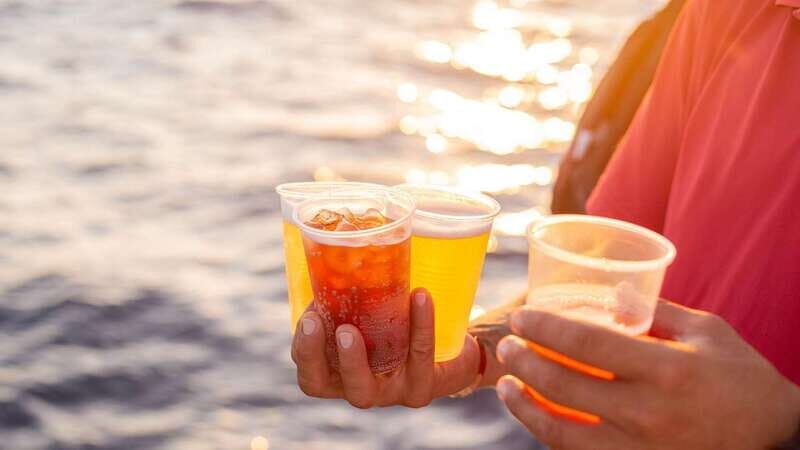 Cabo San Lucas: 2 Hour Sunset Cruise with Food and Wine - The Food and Drink Experience