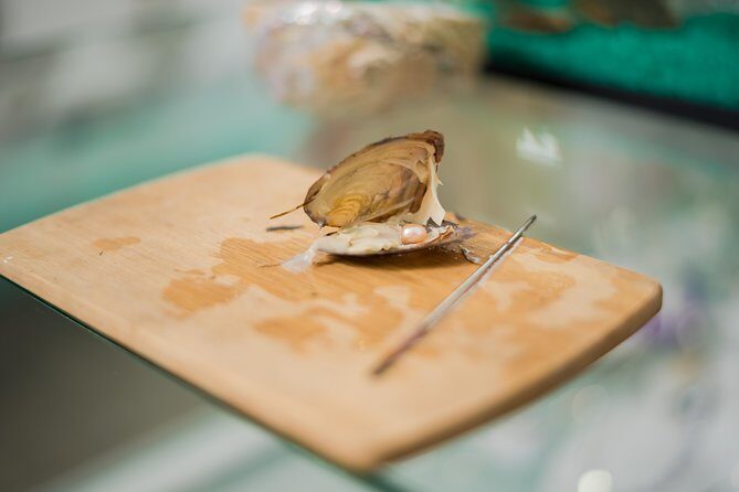 Cabo San Lucas and San Jose del Cabo Sightseeing Tour - FAQ