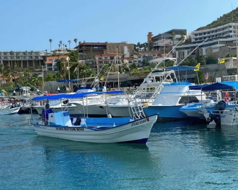Cabo San Lucas: Arch Tour Glass Bottom Boat - What the Reviews Say