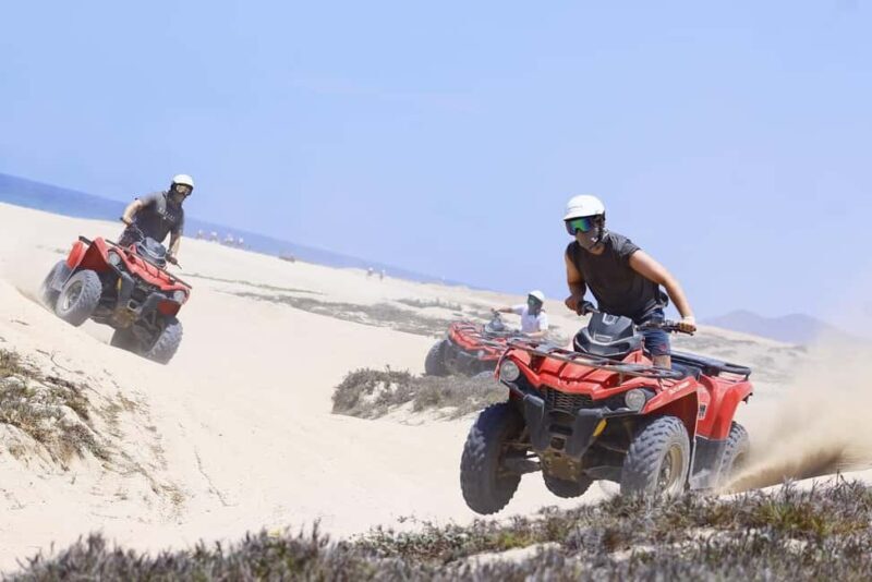 Cabo San Lucas: Beach & Desert ATV Tour with Tequila Tasting - Who Will Love This Tour?