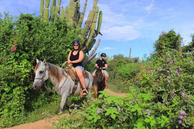 Cabo San Lucas: Beach & Desert Horseback Riding Tour - Key Points