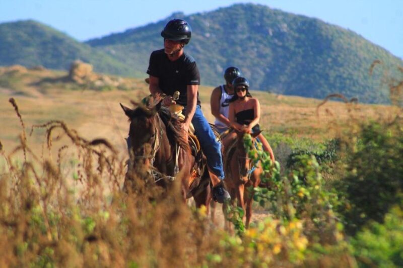 Cabo San Lucas: Beach & Desert Horseback Riding Tour - FAQ
