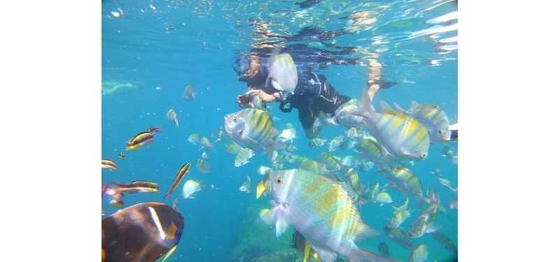 Cabo San Lucas: Beach Hopper Small-Group Snorkeling Tour - Final Word
