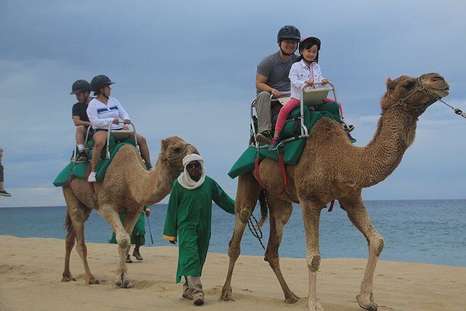 Cabo San Lucas Camel Ride and Encounter on Beach and Desert - What to Expect from the Tour