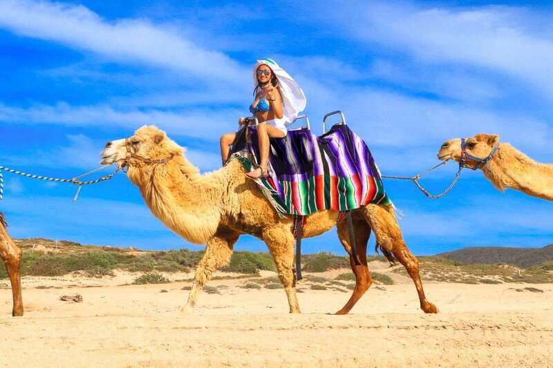 Cabo San Lucas: Camel Ride & Off-Road UTV Combo Adventure - FAQ