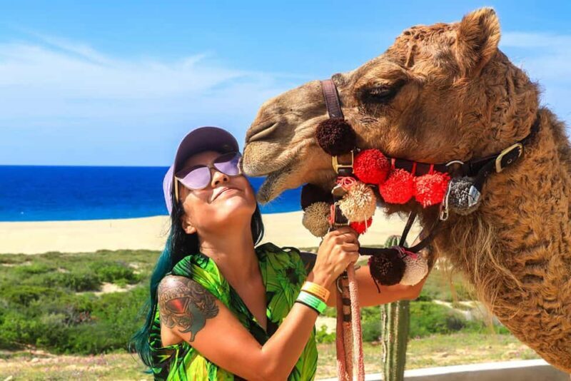 Cabo San Lucas: Camel Ride on the Beach - Key Points