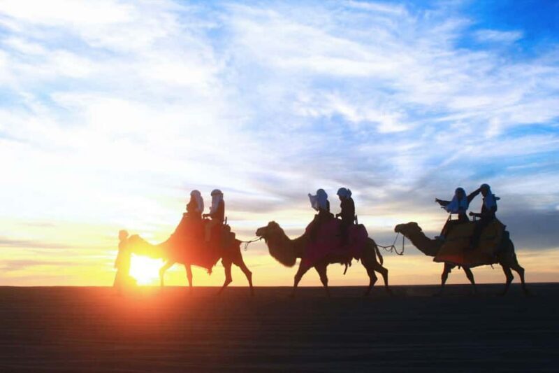 Cabo San Lucas: Camel Ride on the Beach - The Value for Money