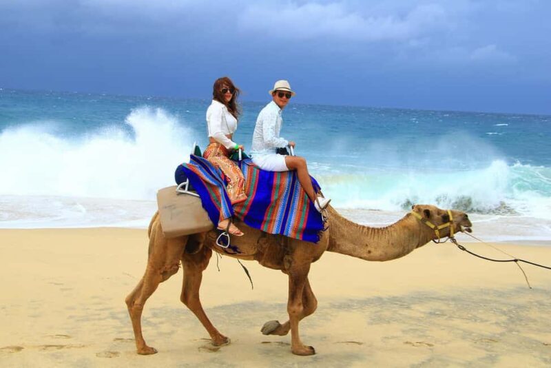 Cabo San Lucas: Camel Ride on the Beach - Practical Tips for Your Visit