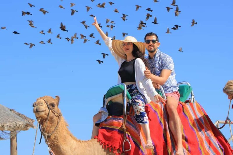 Cabo San Lucas: Camel Ride on the Beach - FAQs