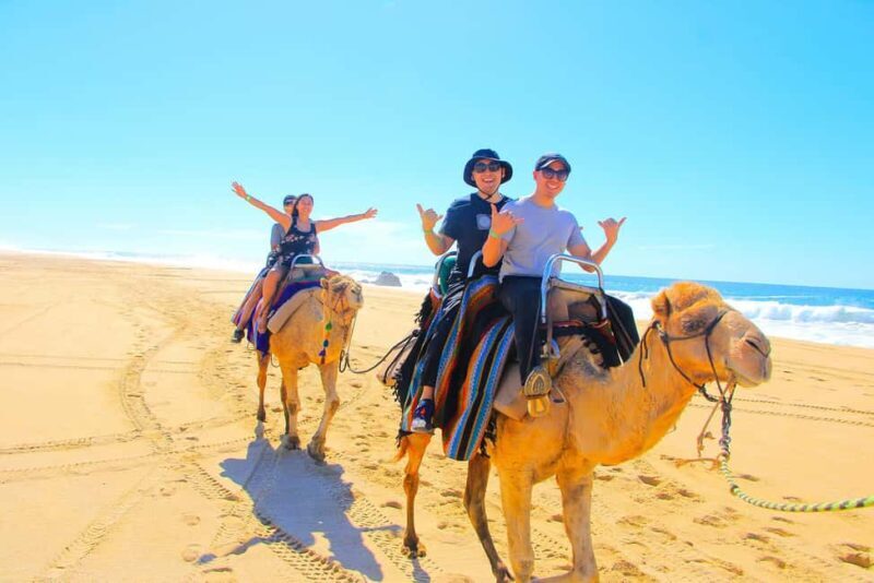 Cabo San Lucas: Camel Ride on the Beach - Final Thoughts