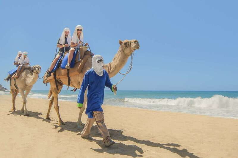 Cabo San Lucas: Camel Safari Tour with Lunch and Tequila - What to Expect on the Tour