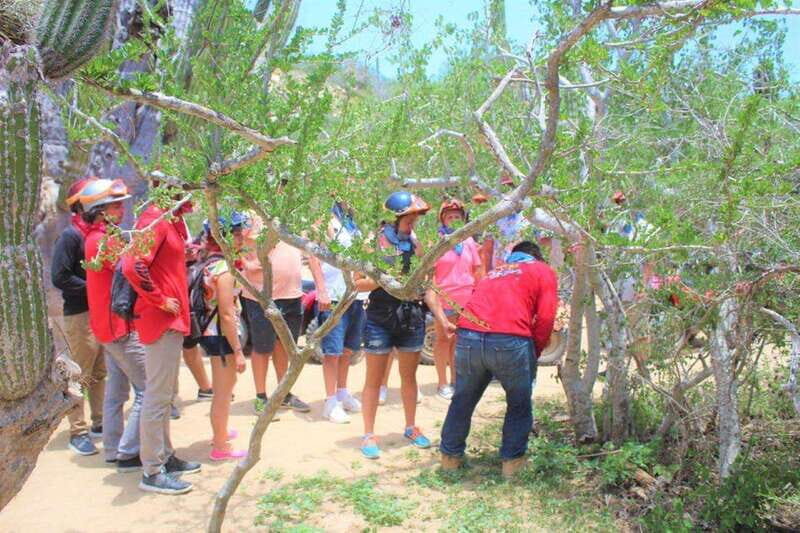 Cabo San Lucas: Candelaria ATV Adventure and Tequila Tasting - Rain or Shine: The Landscapes Transformation