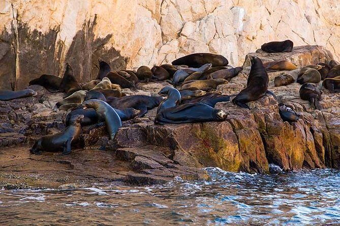 Cabo San Lucas city tour and amazing sea adventure to Lands End! - FAQs