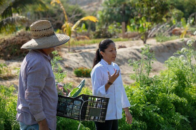 Cabo San Lucas Cooking Classes by Chef Ari - Who Is This Experience Best For?