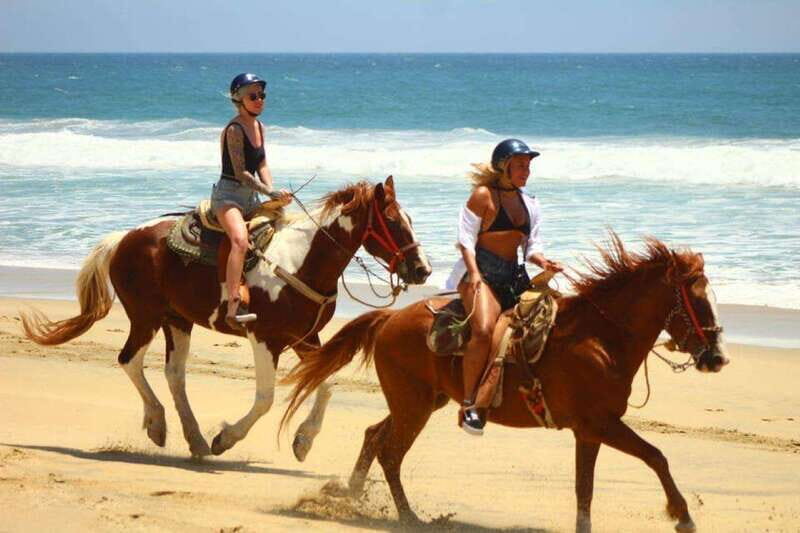 Cabo San Lucas: Desert and Beach RZR and Horseback Riding - Final Thoughts