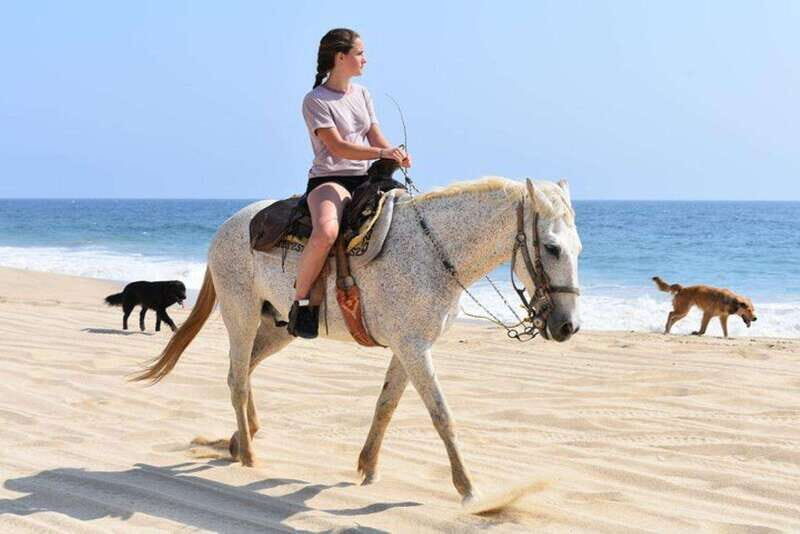 Cabo San Lucas: Desert ATV & Beach Horseback Combo - Practical Tips for Booking and Enjoying
