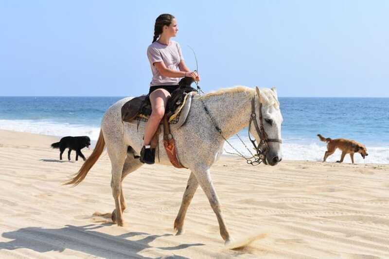 Cabo San Lucas: Desert ATV & Beach Horseback Combo - FAQ