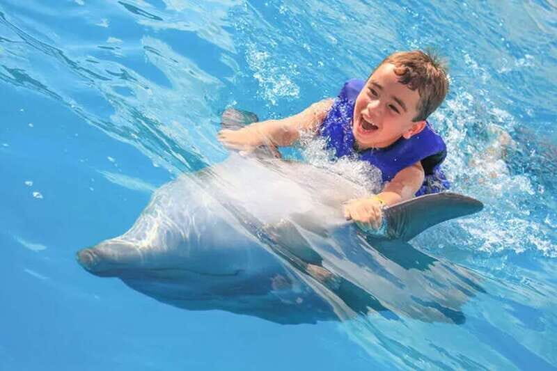 Cabo San Lucas: Dolphin Swim Class with Marine Specialist - A Close Look at the Experience