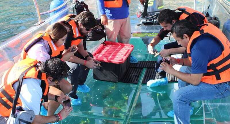 Cabo San Lucas: Glass-Bottom Boat Cruise and Tequila Tasting - FAQ