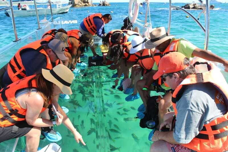 Cabo San Lucas: Glass Bottom Boat Tour to Land's End - Who Should Consider This Tour?