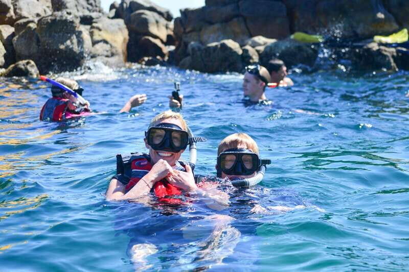 Cabo San Lucas: Guided Snorkeling Tour with Transportation - What You Can Expect from the Snorkeling Tour in Cabo San Lucas