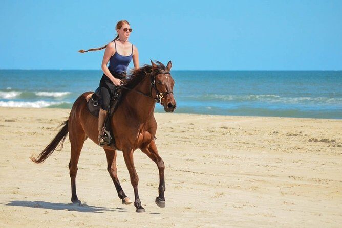Cabo San Lucas Horseback Ride on Beach and Desert - The Experience & the Scenery