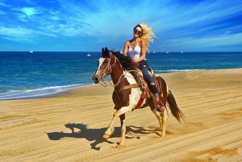 Cabo San Lucas Horseback Ride on Beach and Desert - Who Is This Tour Best For?