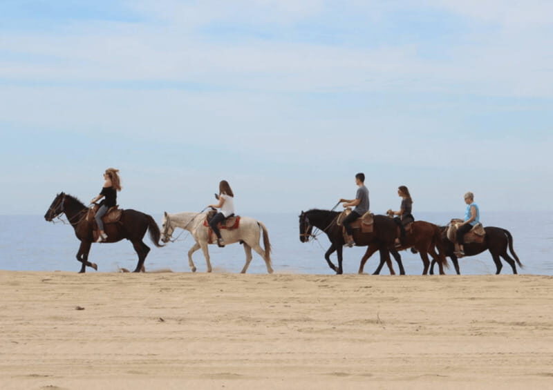 Cabo San Lucas: Horseback Riding Adventure - Exploring the Details of the Horseback Riding Adventure
