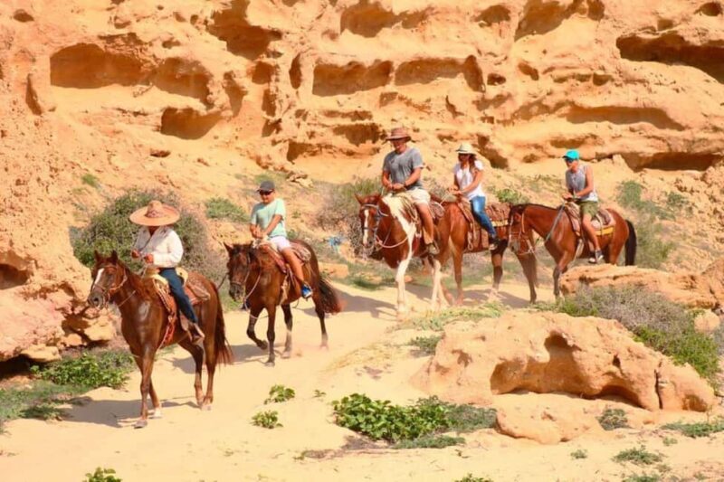 Cabo San Lucas: Horseback Riding on the Beach Experience - Who Will Love This Tour?