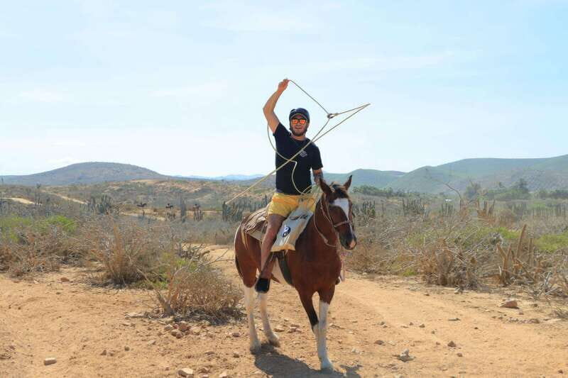 Cabo San Lucas: Horseback Riding On The Beach - A Closer Look at the Tour