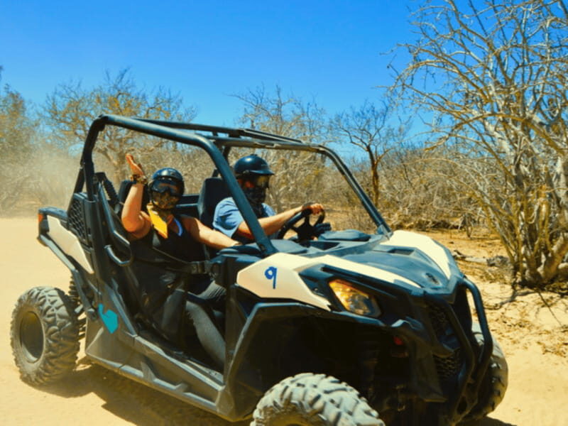 Cabo San Lucas: Migriño Beach & Desert UTV Adventure - Exploring the Details of the UTV Adventure