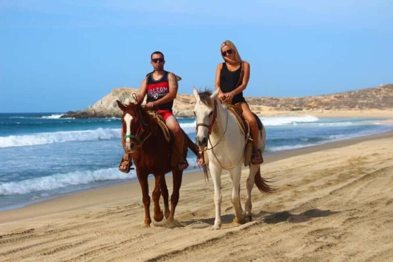 Cabo San Lucas: Migriño Horseback Riding Adventure - Authentic Experiences and Real Traveler Feedback