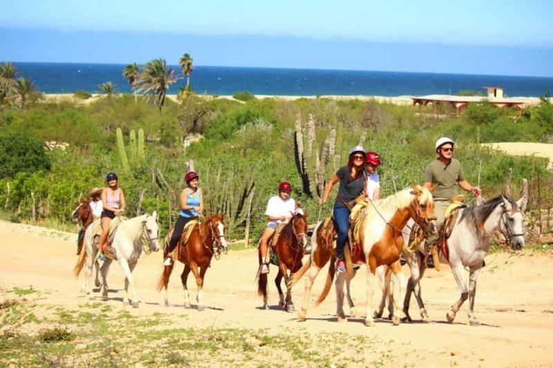 Cabo San Lucas: Migriño Horseback Riding Adventure - FAQ