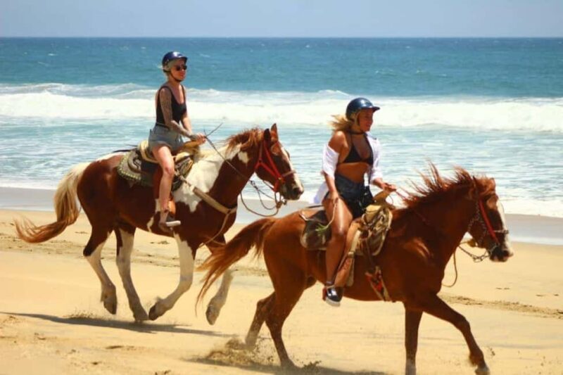 Cabo San Lucas: Migriño Horseback Riding and Tequila Tour - The Experience: What to Expect from Start to Finish