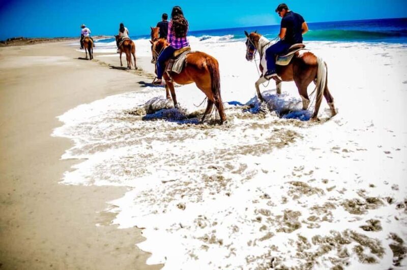 Cabo San Lucas: Migriño Horseback Riding and Tequila Tour - Is This Tour Worth It?