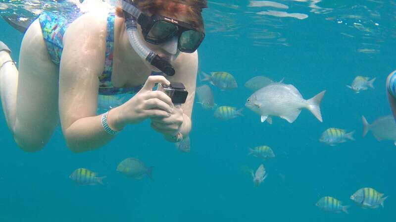 Cabo san Lucas: Paddle Boarding or Kayak and Snorkeling - Final Thoughts: Is This Tour for You?